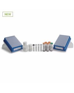 GlykoPrep Technology