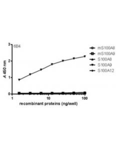 Millipore Anti-S100a9 Antibody, Clone 6b4