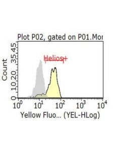 Millipore Anti-Helios Antibody, Clone 22f6