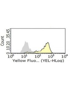 Millipore Anti-Fcgammarii (Human) Antibody, Clone At10
