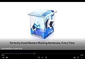 immobilon video
