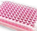 multiwell plates
